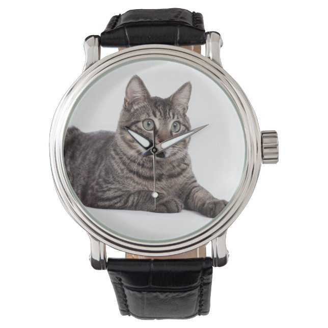 Gray Tabby Cat Horloge (Voorkant)