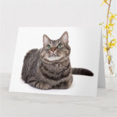 Gray Tabby Cat Kaart (Gele Bloem)