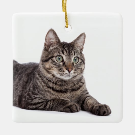 Gray Tabby Cat Keramisch Ornament (Voorkant)