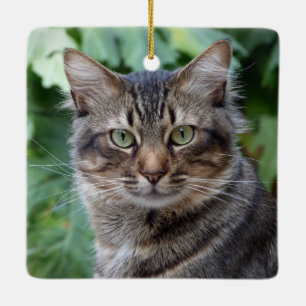 Gray Tabby Cat Keramisch Ornament