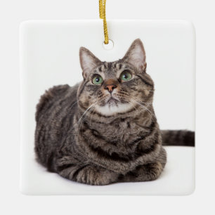 Gray Tabby Cat Keramisch Ornament