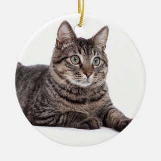 Gray Tabby Cat Keramisch Ornament