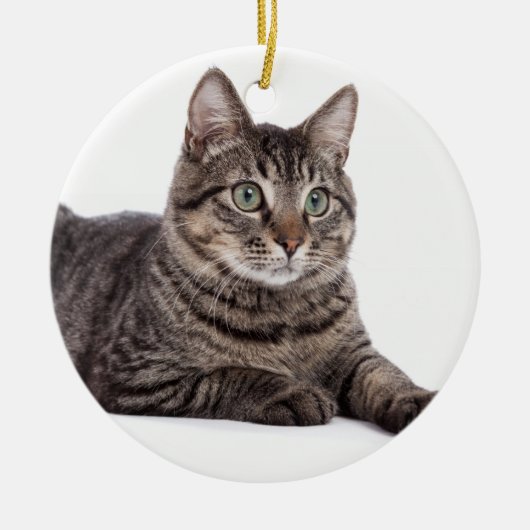 Gray Tabby Cat Keramisch Ornament (Voorkant)
