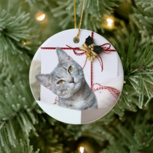 Gray Tabby Cat Kerstmis Keramisch Ornament