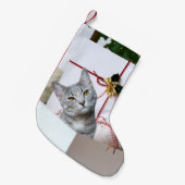 Gray Tabby Cat Kerstmis Kleine Kerstsok (Voorkant (Hangend))
