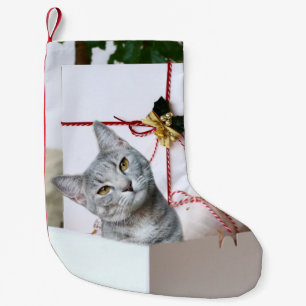 Gray Tabby Cat Kerstmis Kleine Kerstsok
