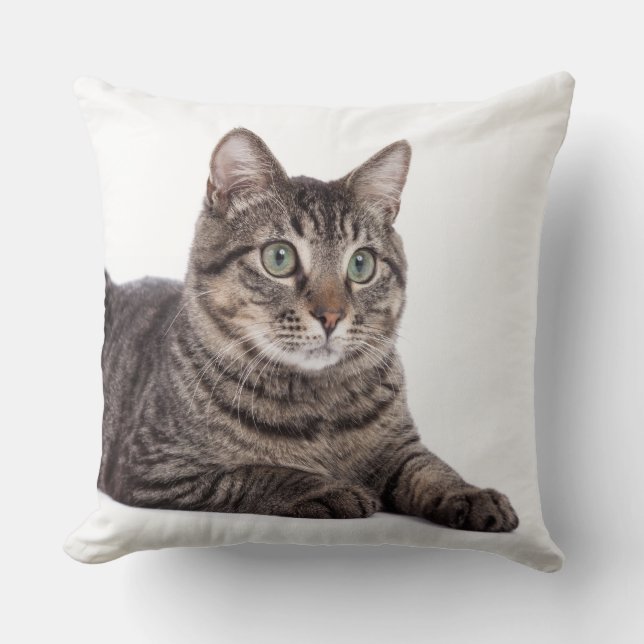 Gray Tabby Cat Kussen (Voorkant)