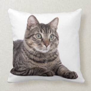Gray Tabby Cat Kussen