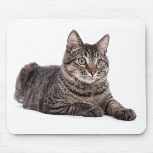 Gray Tabby Cat Muismat (Voorkant)