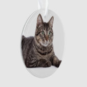 Gray Tabby Cat Ornament (voorkant)