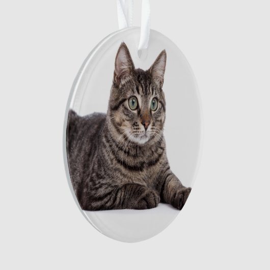 Gray Tabby Cat Ornament (voorkant)