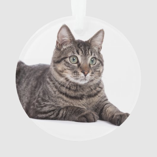 Gray Tabby Cat Ornament (achterkant)