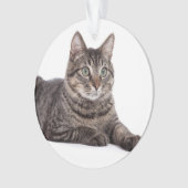 Gray Tabby Cat Ornament (voorkant)
