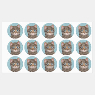 Gray Tabby Cat Painting - Cute Original Cat Art Labels