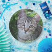 Gray Tabby Cat Papieren Bordje (Feest)
