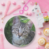 Gray Tabby Cat Papieren Bordje (Feest)