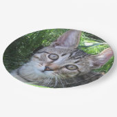 Gray Tabby Cat Papieren Bordje (Gekanteld)