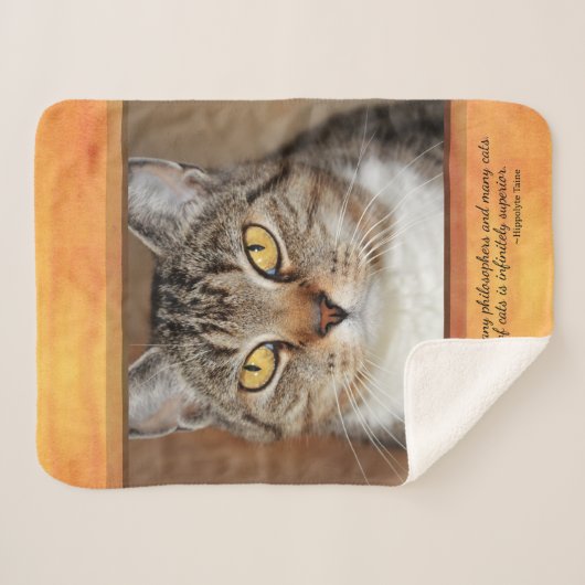 Gray Tabby Cat Sherpa Deken (Voorkant (horizontaal))