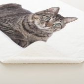 Gray Tabby Cat Sherpa Deken (3/4)