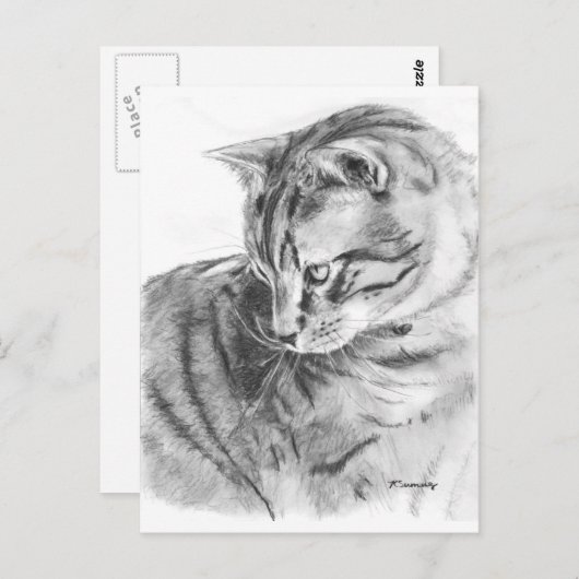 Gray Tabby Cat Sketting in Charcoal Briefkaart (Voorkant / Achterkant)
