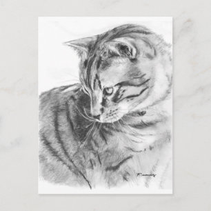 Gray Tabby Cat Sketting in Charcoal Briefkaart