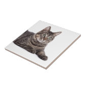 Gray Tabby Cat Tegeltje (Zijkant)