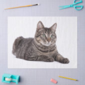Gray Tabby Cat Tissuepapier (Craft)