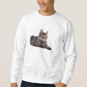 Gray Tabby Cat Trui