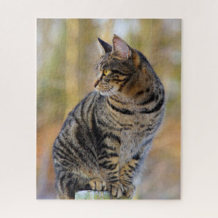 Gray Tabby Jigzaag Puzzle Legpuzzel
