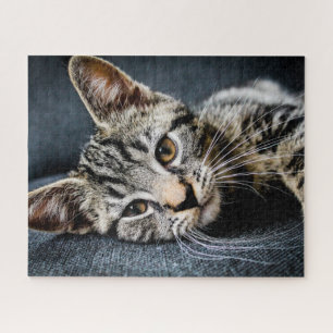 Gray Tabby Kitten Jigzaag Puzzle Legpuzzel
