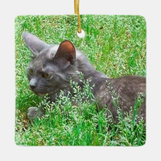 Gray Tortie Cat Keramisch Ornament