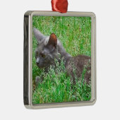 Gray Tortie Cat Metalen Ornament (Rechts)