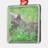 Gray Tortie Cat Metalen Ornament (Links)