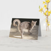 GRAY TURKISH CAT KAART (Gele Bloem)