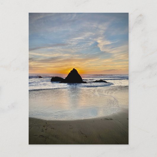 Gray Whale Cove State Beach, California Briefkaart (Voorkant)