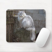 Gray-White Angora Cat Muismat (Met muis)