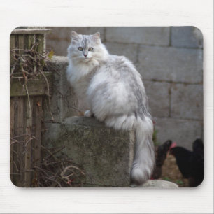 Gray-White Angora Cat Muismat