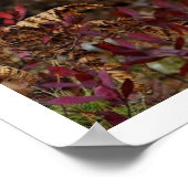 Gray Wolf Art Print Poster (Hoek)