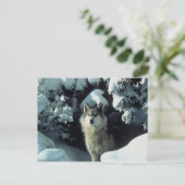 Gray Wolf Briefkaart (Staand voorkant)