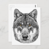 Gray Wolf Briefkaart (Voorkant / Achterkant)