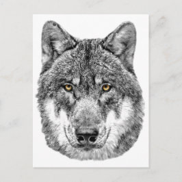 Gray Wolf Briefkaart