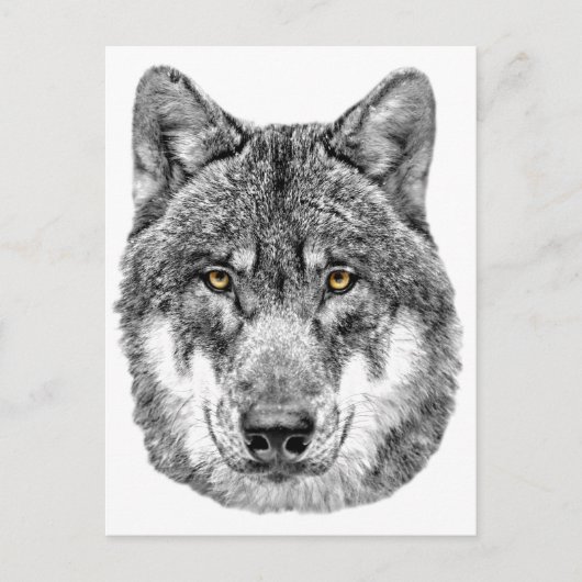 Gray Wolf Briefkaart (Voorkant)