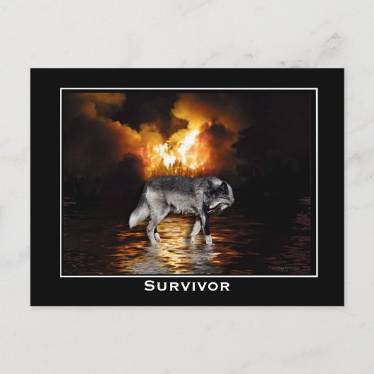 Gray Wolf Briefkaart (Voorkant)