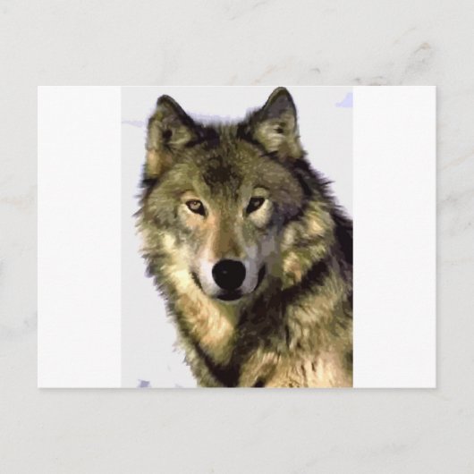 Gray Wolf Briefkaart (Voorkant)