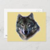 Gray Wolf Briefkaart (Voorkant / Achterkant)
