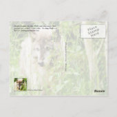 Gray Wolf Briefkaart (Achterkant)