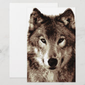 Gray Wolf Briefpapier (Voorkant / Achterkant)