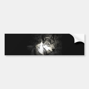 Gray Wolf Bumpersticker