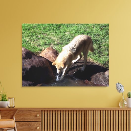 Gray Wolf Canvas (Insitu (Woonkamer))