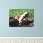 Gray Wolf Canvas (Insitu (Houten vloer))